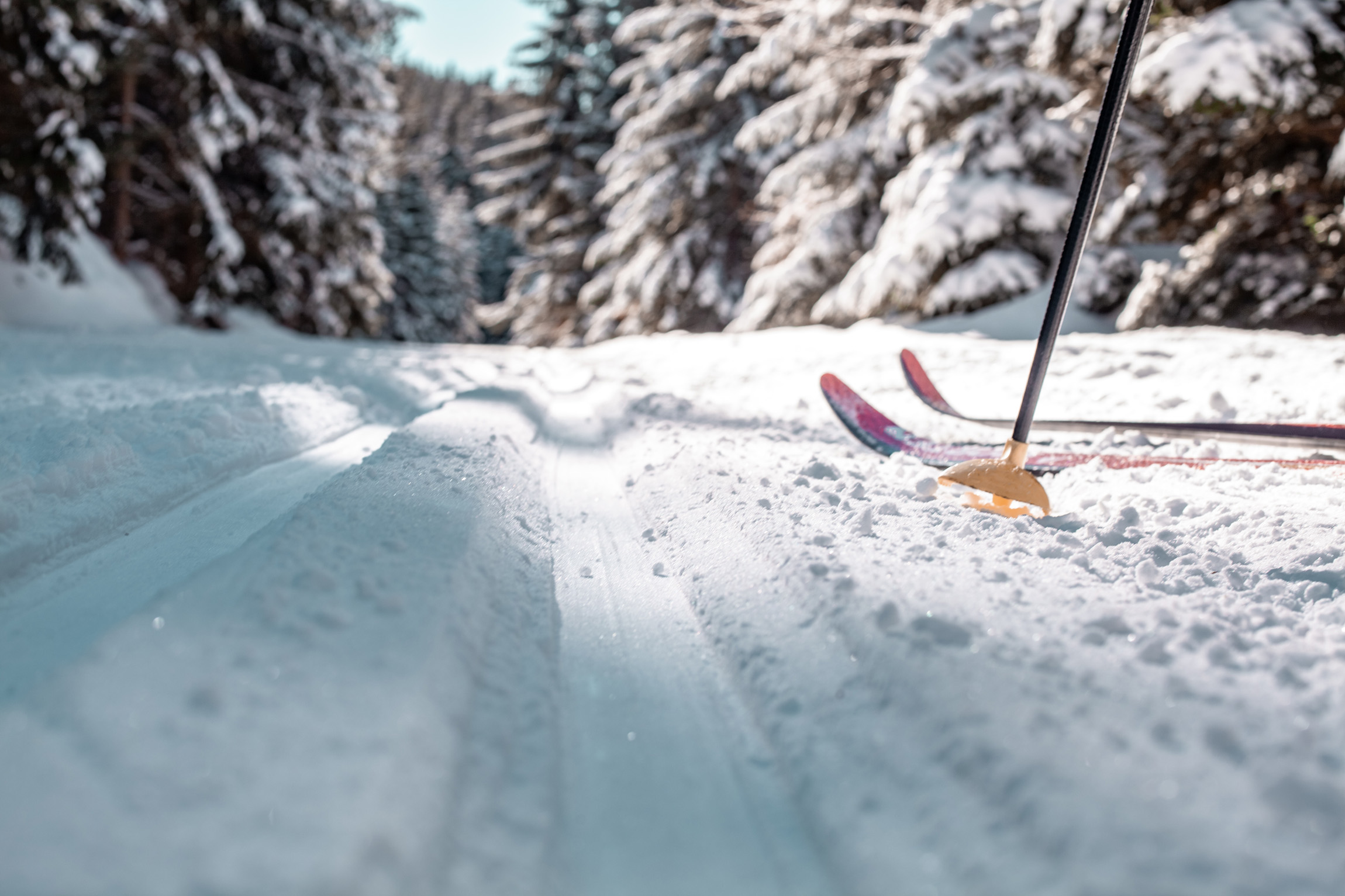 wintersport