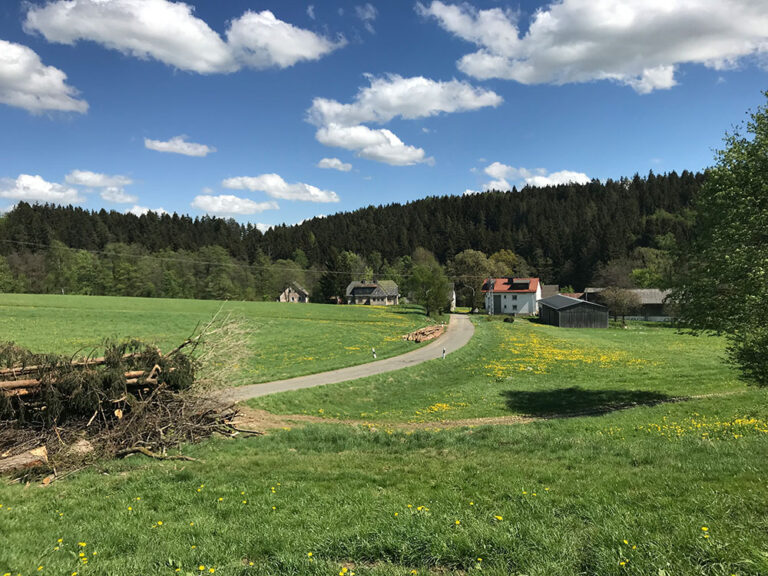 waldhermes